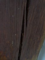 DSC05891.JPG
