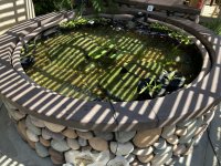 IMG_4770.jpeg