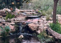 stream_and_falls_from seating_area_January_2024.jpg