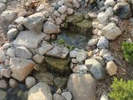 DSC07323.JPG