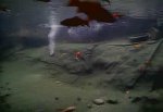 CH03_2012_06_01_07_38_47.jpg