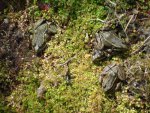 DSC01572.JPG
