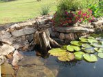 pond 067.JPG
