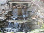 pond 076.JPG