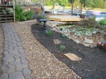 pond 083.JPG