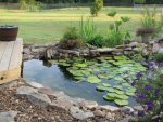 pond 085.JPG