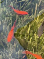 IMG_9940.jpeg