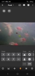 Screenshot_20240514_184131_tinyCam PRO.jpg