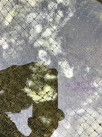 344CFB99-4BBD-481F-8A7E-5F24056D5C76.jpeg