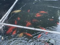 IMG_0615.jpeg