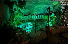 IMG_9315.jpeg