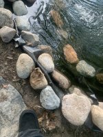 IMG_8522.jpeg