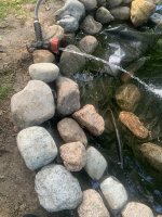 IMG_8523.jpeg