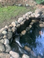 IMG_8524.jpeg