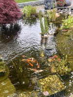 IMG_5815.jpeg