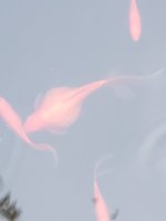 20240724_183735.jpg