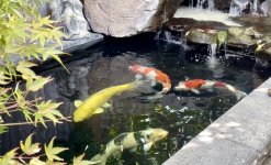 IMG_6991.jpeg