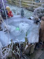 IMG_2299.jpeg