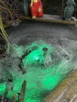 IMG_2293.jpeg