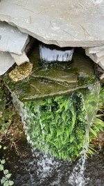 IMG_6060.jpeg