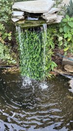 IMG_6059.jpeg