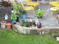 BACK YARD2.JPG
