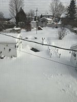 IMG_1806.jpeg