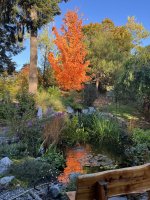 IMG_4244.jpeg
