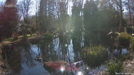 Reolink Pond Cam-20250402_161245.jpg