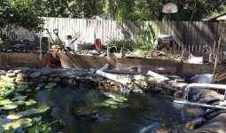 IMG_2761.jpeg