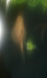 IMG_20250425_203224249.jpg