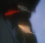IMG_20250425_203217982.jpg