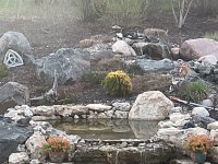 IMG_0603.jpeg