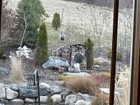 IMG_0549.jpeg