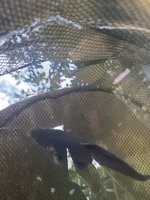 IMG_20250502_160255.jpg