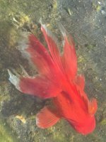 IMG_3562.jpeg