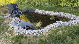 a pond.jpg