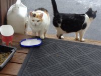 DSC08052.JPG