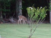 DSC07566.JPG
