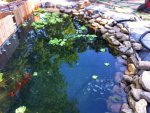 POND2.jpg