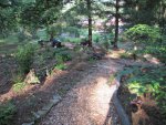 June 2010 Pre Garden Tour 012.jpg