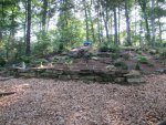 June 2010 Pre Garden Tour 030.jpg