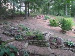 Garden&amp;Stream walk 07-09-2012 007.JPG