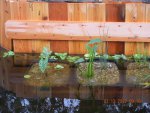 DSCN5071.JPG