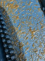 IMG_0019.jpeg