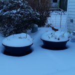 Winter.jpeg