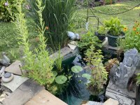 IMG_0684.jpeg