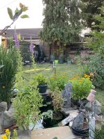 IMG_0683.jpeg
