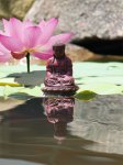 Tranquility by Nova.jpg Tranquility by Nova.jpg