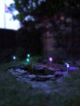 Miniature pleasure by Figgy.jpg Miniature pleasure by Figgy.jpg